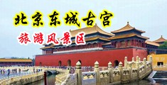 美女黄片操逼白虎中国北京-东城古宫旅游风景区